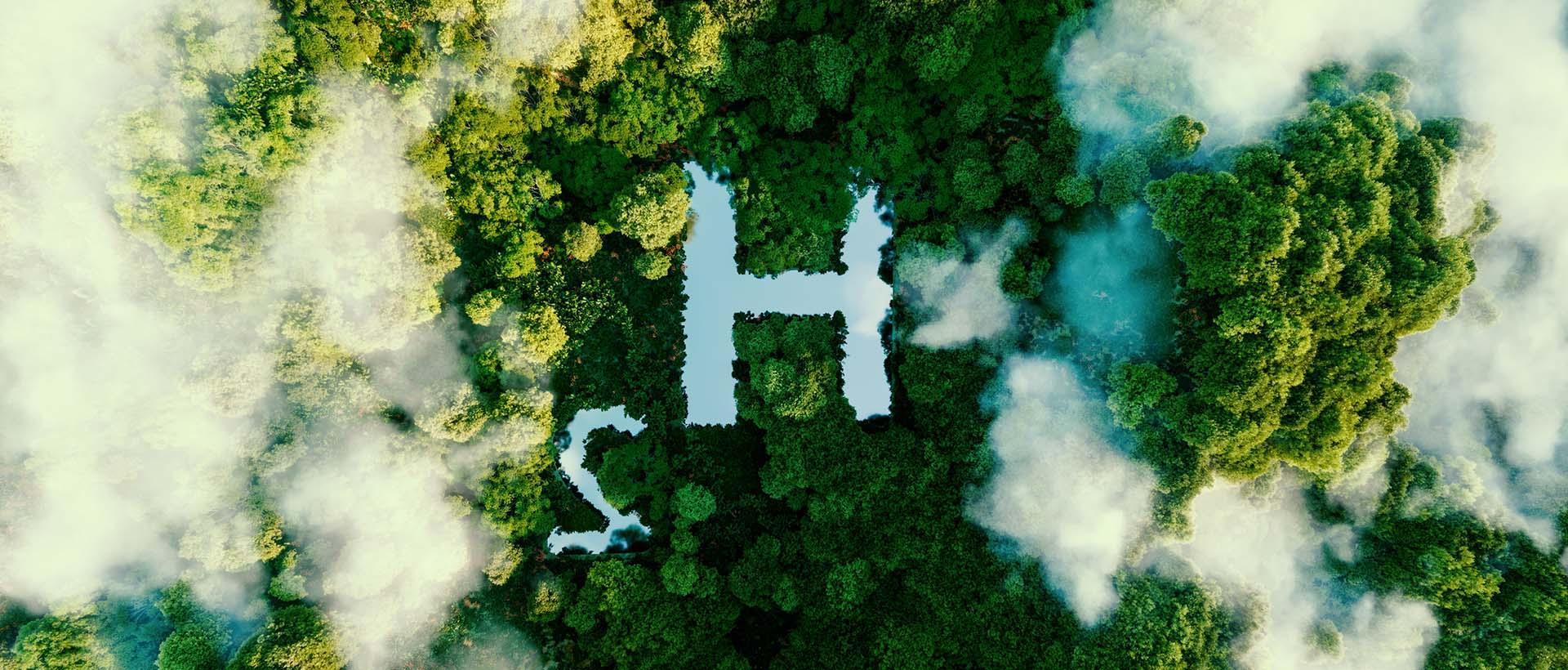 A stylised H2 cut into an overhead forest